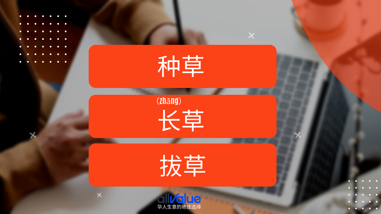 內容與商業(yè)相遇：小紅書，2023海外華人商家一定要抓住的商業(yè)風向