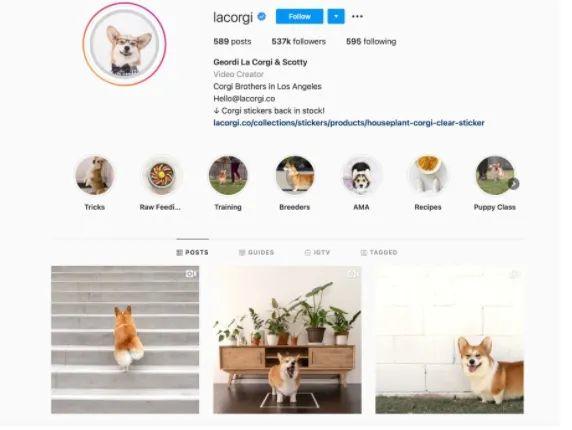 運營干貨 | 6個月內(nèi)，Instagram粉絲數(shù)如何從0漲到1萬？