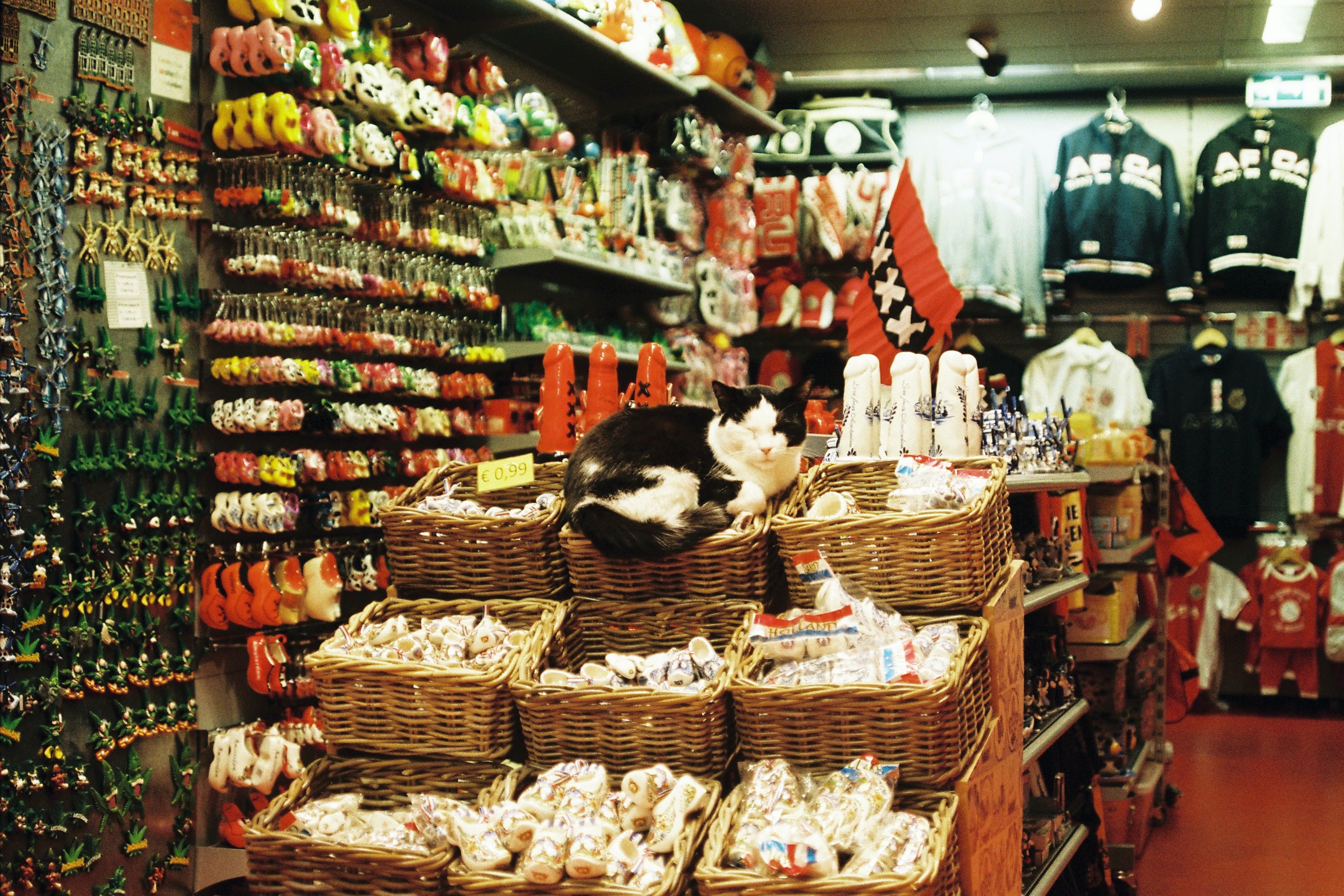 如何在海外開(kāi)設(shè)一家成功的寵物用品店？